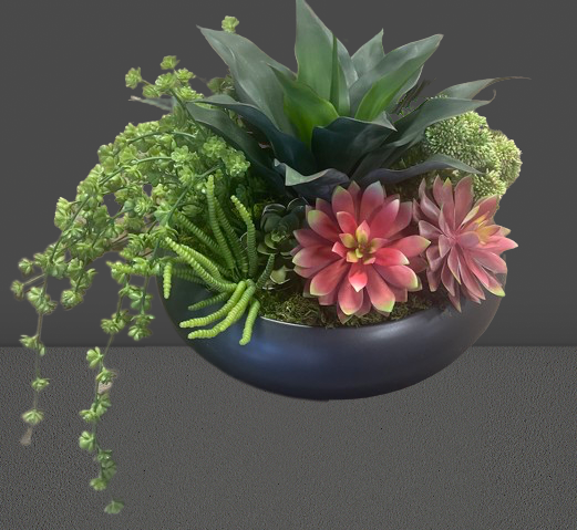 Large Succulent Arrangement in Low Black Vase